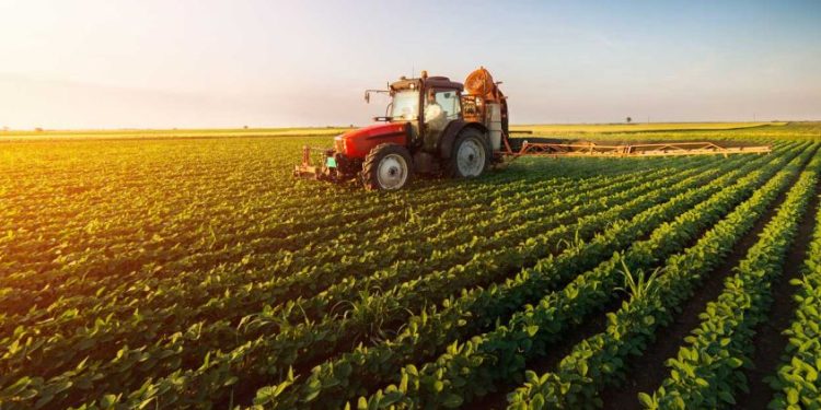 കാർഷിക മേഖലയ്ക്കായി 971.71 കോടി; തേങ്ങയുടെ താങ്ങുവില 34 രൂപയായി ഉയര്‍ത്തി