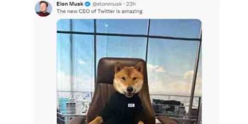 പുതിയ ട്വിറ്റര്‍ സിഇഒ കസേരയില്‍ ‘സ്വന്തം പട്ടിയെ’ ഇരുത്തി ഇലോണ്‍ മസ്ക്