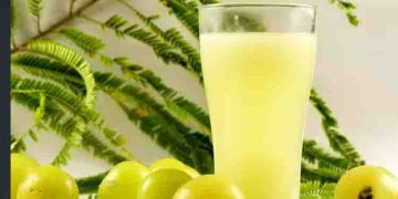 കരളിന്‍റെ ആരോഗ്യത്തിന് നെല്ലിക്കാ ജ്യൂസ്; അറിയാം മറ്റ് ഗുണങ്ങള്‍…