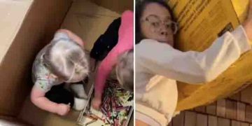 വീട്ടിലെ പണികൾ നടക്കുന്നില്ല, മക്കളെ കാർഡ്ബോർഡ് പെട്ടിയിലാക്കി അമ്മ, വിമർശനം