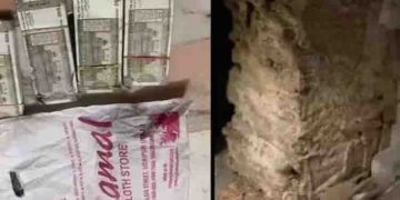 സുരക്ഷിതമായിരിക്കാൻ ലോക്കറിൽ വച്ചു, രണ്ട് ലക്ഷത്തിൽ കൂടുതൽ ബാങ്കിൽ നിന്നും ചിതൽ തിന്നു