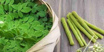 രക്തത്തിലെ പഞ്ചസാരയുടെ അളവ് കുറയ്ക്കാന്‍ മുരിങ്ങയില; അറിയാം മറ്റ് ഗുണങ്ങള്‍…