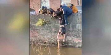 കനാലിൽ വീണുപോയ നായ്ക്കുട്ടിക്ക് രക്ഷകരായി വിദ്യാർത്ഥികൾ; സാഹസികമെന്ന് കാഴ്ചക്കാർ