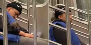 ദേഹത്ത് കയറി എലി, ഒന്നുമറിയാതെ യാത്രക്കാരന്റെ ഉറക്കം, ഒടുവിൽ സംഭവിച്ചത്, വൈറലായി വീഡിയോ