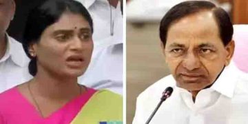 ‘തെലങ്കാന ഇന്ത്യയിലെ അഫ്‍ഗാനിസ്ഥാന്‍, കെസിആർ അവിടുത്തെ താലിബാന്‍’, വിവാദ പ്രസ്‍താവനയുമായി വൈ എസ് ശർമിള