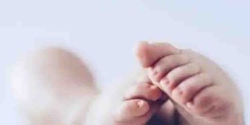 പാലക്കാട് വനത്തിൽ പ്രസവിച്ച ആദിവാസി യുവതിയുടെ കുഞ്ഞ് മരിച്ചു