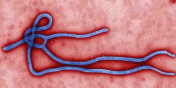 ‘എബോള’ പോലെ മാരകമായ വൈറസ്; ഒമ്പത് പേര്‍ മരിച്ചു