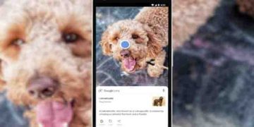 ഗൂഗിൾ ലെൻസിൽ ഇനി ഒരേ സമയം ടെക്സ്റ്റും ചിത്രങ്ങളും ഉപയോഗിക്കാം