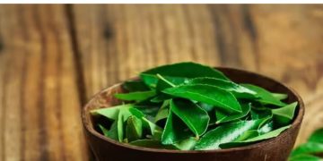 താരനകറ്റാൻ കറിവേപ്പില ; രണ്ട് രീതിയിൽ ഉപയോ​ഗിക്കാം