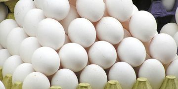 മുട്ട കഴിച്ചാൽ ഹൃദ്രോഗ സാധ്യത വർദ്ധിക്കുമോ? വിദ​​ഗ്ധർ പറയുന്നത്