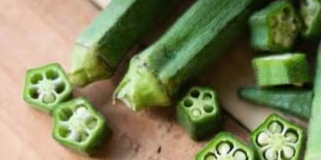 കൊളസ്ട്രോളും പ്രമേഹവും നിയന്ത്രിക്കാന്‍ വെണ്ടയ്ക്ക; അറിയാം മറ്റ് ആരോഗ്യ ഗുണങ്ങള്‍…