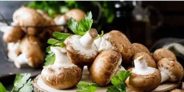 ഉയര്‍ന്ന രക്തസമ്മര്‍ദ്ദം നിയന്ത്രിക്കാന്‍ മഷ്‌റൂം; അറിയാം മറ്റ് ഗുണങ്ങള്‍…