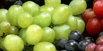 ടെെപ്പ് 2 പ്രമേഹമുള്ളവർക്ക് മുന്തിരി കഴിക്കാമോ? ഡയറ്റീഷ്യൻ പറയുന്നു