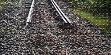 ബീഹാറില്‍ രണ്ടുകിലോമീറ്ററോളം റെയില്‍പാളം മോഷ്ടിച്ച് കടത്തി