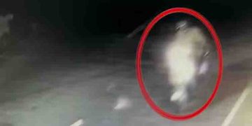 മൂലവിളാകത്ത് സ്ത്രീ ആക്രമിക്കപ്പെട്ടിട്ട് 12 ദിവസം; ആക്രമണത്തിന്റെ സിസിടിവി ദൃശ്യം പുറത്ത്