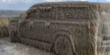 കുറഞ്ഞ താപനിലയും കാറ്റും ന്യൂയോര്‍ക്കിലെ ഈറി തടാകത്തിന് സമീപം തീര്‍ത്ത കരവിരുത്!