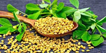 പ്രമേഹത്തെ നിയന്ത്രിക്കാന്‍ ഉലുവ; അറിയാം മറ്റ് ആരോഗ്യ ഗുണങ്ങള്‍…