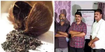 ‘കസ്തൂരി’ വേട്ട; രണ്ടിടങ്ങളിൽ നിന്നായി ഏഴ് പേർ പിടിയിൽ