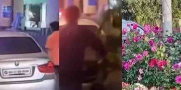 ബിഎംഡബ്ല്യൂ കാറിലെത്തി, ജി 20 ഉച്ചകോടിക്കായി ഒരുക്കിയ ചെടിച്ചട്ടികള്‍ മോഷ്ടിച്ചു; രണ്ട് യുവാക്കൾ പിടിയിൽ