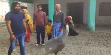 ദേശാടന പക്ഷിയെ രക്ഷിച്ചു, അപൂർവ സൗഹൃദത്തിലായി, എന്നാൽ ഇന്ന് ആരിഫിനെതിരെ കേസ്