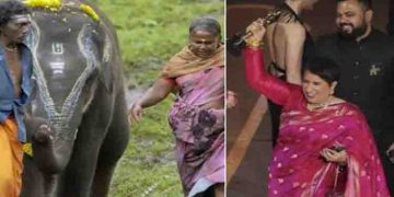 മനുഷ്യനും മൃഗങ്ങളുമായുള്ള ആത്മബന്ധത്തിന്റെ കഥ പറഞ്ഞ എലിഫന്‍റ് വിസ്പേറേഴ്സ്; ഓസ്ക‍ർ വേദിയില്‍ ഇന്ത്യൻ തിളക്കം