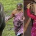മനുഷ്യനും മൃഗങ്ങളുമായുള്ള ആത്മബന്ധത്തിന്റെ കഥ പറഞ്ഞ എലിഫന്റ് വിസ്പേറേഴ്സ്; ഓസ്കർ വേദിയില് ഇന്ത്യൻ തിളക്കം