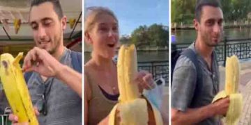 കൊന്നത്തെങ്ങ് പോലൊരു വാഴ; ഒരു വാഴപ്പഴത്തിന് 3 കിലോ തൂക്കം; ട്വിറ്ററില്‍ വൈറലായി ഒരു വീഡിയോ !