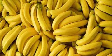 ദിവസവും കഴിക്കാം നേന്ത്രപ്പഴം; അറിയാം ഈ ഗുണങ്ങള്‍…