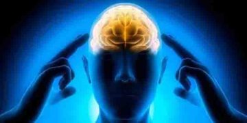 ബ്രെയിനിനെ ഹെൽത്തിയായി സംരക്ഷിക്കാൻ ഇതാ ചില മാർ​ഗങ്ങൾ