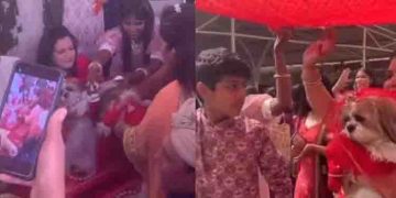 വളര്‍ത്തുനായ്ക്കളുടെ വിവാഹം കെങ്കേമമായി നടത്തുന്നതിന്‍റെ വീഡിയോ; വിമര്‍ശനവുമായി ഏറെ പേര്‍