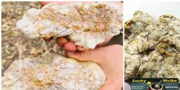 ഓസ്ട്രേലിയന്‍ സ്വര്‍ണ്ണവേട്ടക്കാരന് ലഭിച്ചത് 2.6 കിലോ സ്വര്‍ണ്ണം; ഏതാണ്ട് 1.32 കോടി രൂപയുടെ സ്വര്‍ണ്ണം!