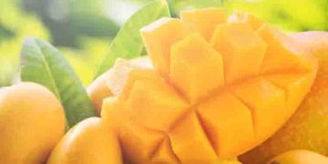 വേനൽക്കാലത്ത് കഴിക്കേണ്ട അഞ്ച് പഴങ്ങൾ…