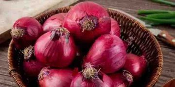 ഈ പച്ചക്കറികളും പഴങ്ങളും ഒരുമിച്ച് വയ്ക്കല്ലേ…; പെട്ടെന്ന് കേടാവാം, പോഷകങ്ങളും നഷ്ടപ്പെടാം