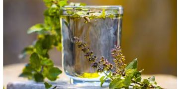 അറിയാം തുളസിയിട്ട് തിളപ്പിച്ച വെള്ളം കുടിക്കുന്നത് കൊണ്ടുള്ള ആരോ​ഗ്യ​ഗുണങ്ങൾ