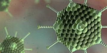 കുട്ടികള്‍ക്കിടയില്‍ ‘അഡെനോ വൈറസ്’ ബാധ വ്യാപകമാകുന്നു;നിസാരമാക്കരുതെന്ന് ഡോക്ടര്‍മാര്‍