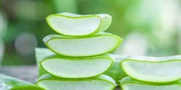 മുഖം സുന്ദരമാക്കാൻ കറ്റാർവാഴ ; ഉപയോ​ഗിക്കേണ്ട വിധം