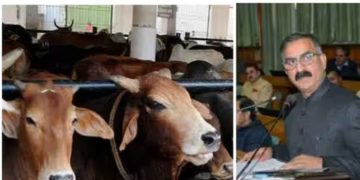 ഒരു കുപ്പി മദ്യം വിൽക്കുമ്പോൾ 10 രൂപ പശുക്കളുടെ ക്ഷേമത്തിന്; മദ്യവിൽപനയിൽ ‘പശു സെസ്’ ഏർപ്പെടുത്തി ഹിമാചൽ