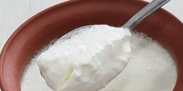 ദൈനംദിന ഭക്ഷണത്തിൽ തൈര് ഉൾപ്പെടുത്തണമെന്ന് പറയുന്നതിന്റെ അഞ്ച് കാരണങ്ങൾ