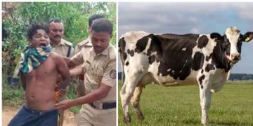 പശുവിനെ ലൈംഗിക അതിക്രമത്തിനിരയാക്കി; കൊല്ലം സ്വദേശി അറസ്റ്റിൽ; മറ്റൊരു പശുവിനെ പീഡിപ്പിച്ച് കൊന്നു