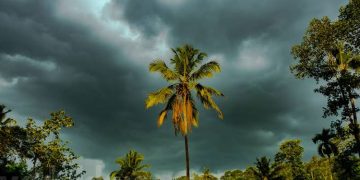 മാര്‍ച്ച് 31വരെ സംസ്ഥാനത്ത് മിന്നലോടു കൂടിയ വേനല്‍ മഴക്ക് സാധ്യത; തൃശൂര്‍ വെള്ളാണിക്കരയിലാണ് ഉയര്‍ന്ന ചൂട്