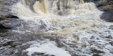 നിലമ്പൂർ ഉൾവനത്തിൽ മഴ; കുറുവൻപുഴയിൽ മലവെള്ളപ്പാച്ചിൽ