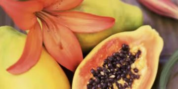 മുഖത്തെ കറുത്ത പാടുകള്‍ അകറ്റാന്‍ പപ്പായ ഇങ്ങനെ ഉപയോഗിക്കാം…