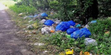 മഴക്കാലപൂര്‍വ്വ ശുചീകരണം ; കൊല്ലത്ത് പ്രവര്‍ത്തന കലണ്ടര്‍ തയ്യാറാക്കാന്‍ നിര്‍ദ്ദേശം