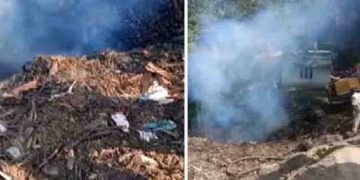 പെരുമ്പാവൂരിലെ പ്ലൈവു‍ഡ് ഫാക്ടറിയിൽ അതിഥി തൊഴിലാളി മാലിന്യം കത്തിച്ച കുഴിയിൽ വീണു