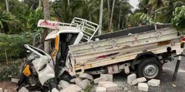 സിമന്‍റ് കട്ടകളുമായി വന്ന പിക്കപ്പ് വാൻ നിയന്ത്രണം തെറ്റി തെങ്ങിലിടിച്ചു; മൂന്ന് പേർക്ക് പരിക്ക്