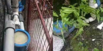 6 മാസത്തിനിടെ കാണാതായത് അൻപതോളം വാട്ടര്‍ മീറ്ററുകള്‍; പെരുമ്പാവൂരില്‍ വലഞ്ഞ് ജനം