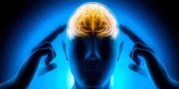 ഈ നട്സ് കഴിക്കൂ, ശ്രദ്ധയും ഓർമ്മശക്തിയും വർദ്ധിപ്പിക്കുമെന്ന് പഠനം