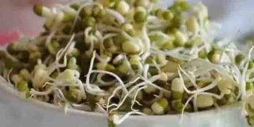 മുളപ്പിച്ച പയർവർ​ഗങ്ങൾ പതിവായി കഴിക്കൂ, ​ആരോ​ഗ്യഗുണങ്ങൾ ഇതൊക്കെയാണ്