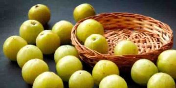 മുടികൊഴിച്ചിൽ കുറയ്ക്കാൻ നെല്ലിക്ക ; ഇങ്ങനെ ഉപയോ​ഗിക്കൂ