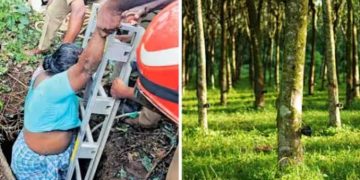 റബർ തോട്ടത്തിലെ 30 അടിയോളം താഴ്ചയുള്ള കുഴിയിൽ വീണ് വീട്ടമ്മയ്ക്ക് പരിക്ക്